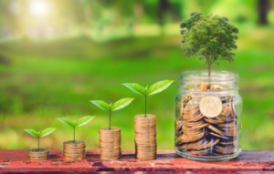 Aposentadoria Antecipada e Independência Financeira